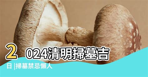 112年掃墓吉日|2024清明掃墓懶人包｜供品、祭拜順序、禁忌與注意事項 • Aerobil